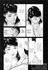 [八月薫] My Pure Lady 4 (korean)-
