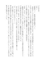 [Koushi Ryou × G-Zeroshiki·Setu] Under the White Maltese Cross 2-[黄支亮 & G-零式·刹] 白いマルタの十字の下にⅡ (二次元ドリームノベルズ019)