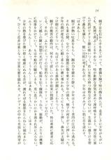 [Fuse Haruka, Hayashiya Himehachi] Oriharukon Sword - Kinmirai Shin Kaiyou Senki-[布施はるか, 林屋姫八] オリハルコンソード 近未来新海洋戦記