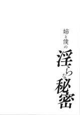 [Tohzai] Ane to Boku no Midarana Himitsu [chinese]-[東西] 姉と僕の淫らな秘密 [中国翻訳]